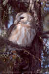 DSC_0063.jpg (186781 octets)