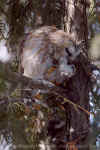 DSC_0099.jpg (189572 octets)
