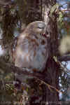 DSC_0118.jpg (189350 octets)