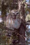 DSC_0127.jpg (200383 octets)