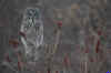 DSC_9284.JPG (189699 octets)