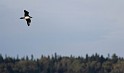 IMG_6688