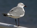 IMG_6839