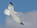 IMG_6842