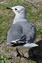 IMG_6843