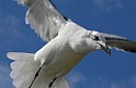 IMG_6853