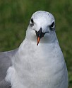 IMG_6866