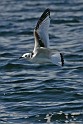 IMG_6925