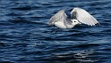 IMG_6940