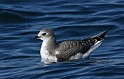 IMG_7034