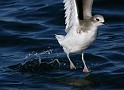 IMG_7035