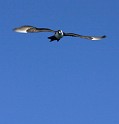 IMG_7037