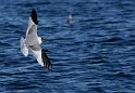 IMG_7062