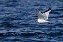 IMG_7083