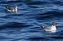 IMG_7097