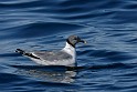IMG_7116