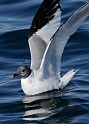 IMG_7119