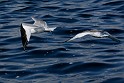 IMG_7123