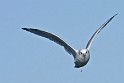 IMG_7125