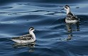 IMG_7142