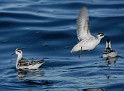 IMG_7144