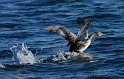 IMG_7180