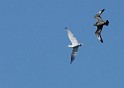 IMG_7190