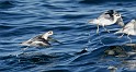 IMG_7249