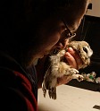 IMG_7271