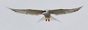 2009-07-21_14-24-32_MG_0212
