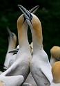 2009-07-22_09-14-29_MG_0357