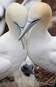 2009-07-22_09-25-20_MG_0411