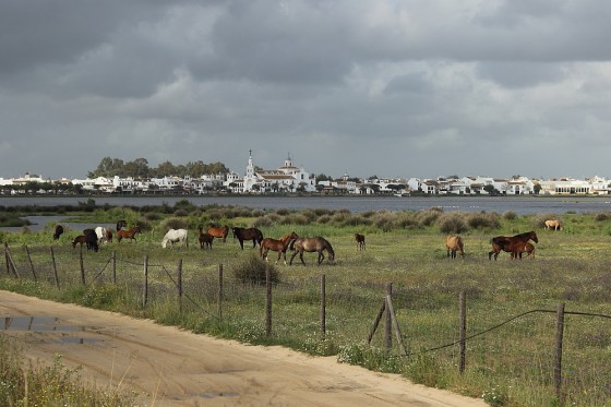 Village d'El Rocio (photo de Claude Dubé)