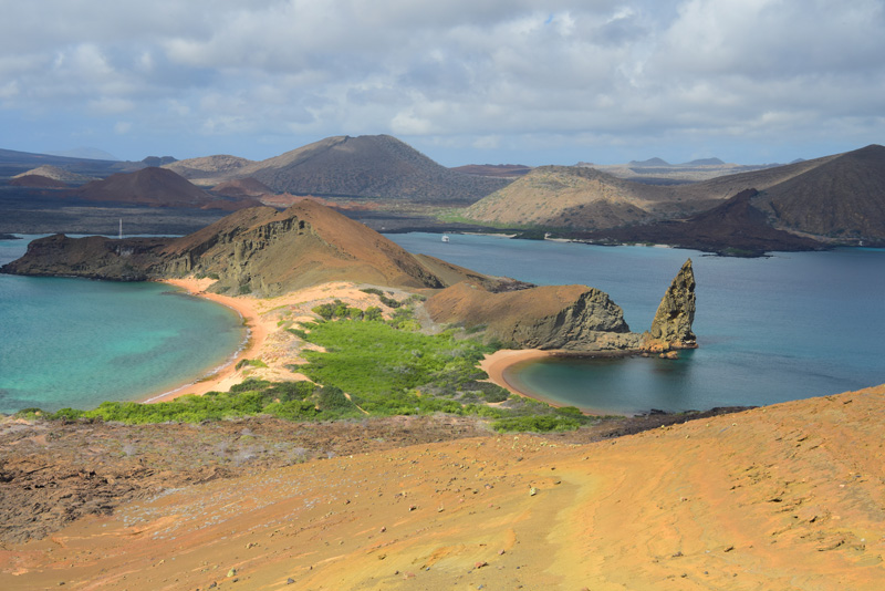 L'archipel MAGIQUE des Galapagos!!! La croisière ornithologique de 9 jours la plus productive que les îles n'aient jamais vues!!! (photo de Luc Simard du voyage)