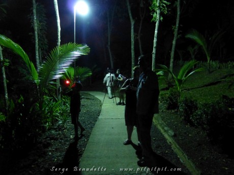 Décembre, en pijama, à regarder les oiseaux