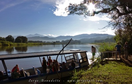 Tour dans la Mangrove