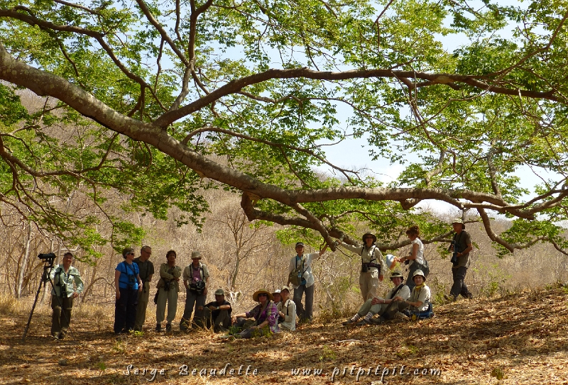 Quand il fait chaud comme c’est le cas ici, il ne faut pas s’étonner de voir des groupes d’ornithologues « s’é-t-i-r-e-r » dans les « spots » d’ombre!!! ...jusqu’à...