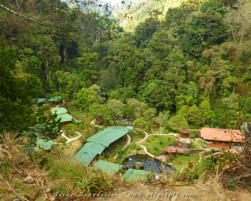 Nous quittons cette forêt de rêve dans laquelle nous reviendrons prendre notre dernier repas en sol Costaricien, avant d’aller à l’aéroport, et nous nous dirigeons vers le paradis! Pas le « paradis du Quetzal » (bien qu’il y ait plusieurs Quetzals aussi!)… mais le « Paradis » tout court!!! Avec un grand « P »!!! Encastré dans une vallée abrupte, sillonnée par la rivière Savegre qui traverse tout notre Lodge, à 2400 mètres d’altitude, chauffage au bois nous rappelant nos amis Québécois et les fameuses « bouillottes » d’eau chaude que le personnel vient porter discrètement sous nos couverture durant le souper!!! J’vous jure, c’est la version terrestre la plus proche du paradis que je connaisse!!!
