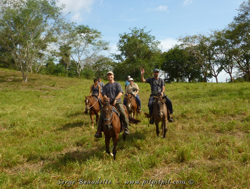 Durant les heures les plus chaudes, en "congé" d'ornitho (ou période libre!), nous sommes 6 qui irons à cheval sur l'énorme propriété et reserve naturelle où nous logeons!