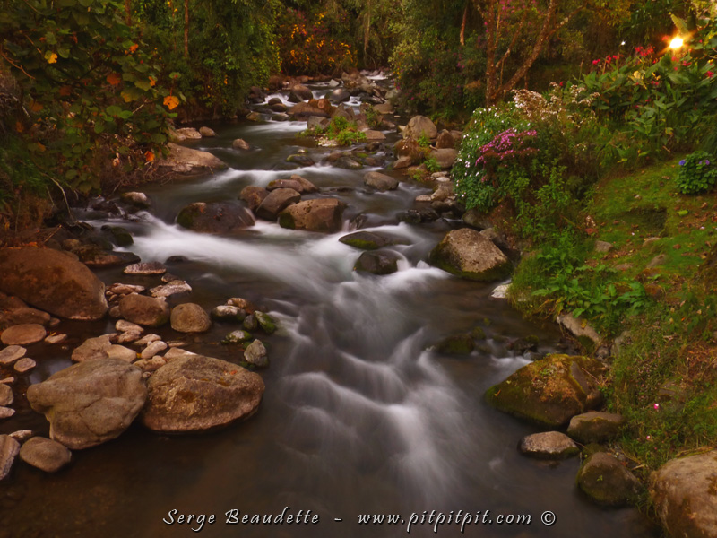 Quand je vous disais que c'est le PARADIS ici! Et je pèse vraiment mes mots! Le climat est extraordinaire, l'air frais et pur de l'altitude, les paysages, les arbres gigantesques, remplis de mousse, la rivière pure,... Ce paysage, c'est l'entrée de notre Lodge luxueux!!!