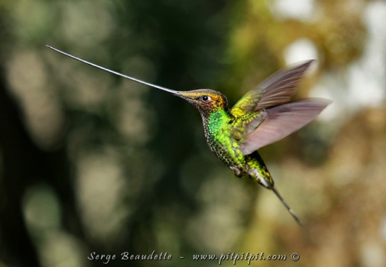 2014-01-17_10-16-46_IMG_8082