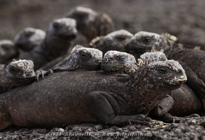 2014-01-24_10-52-20_ IMG_2139