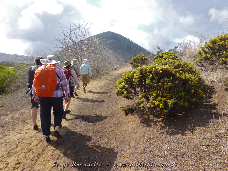 2014-01-26_09-26-34_ P1110042