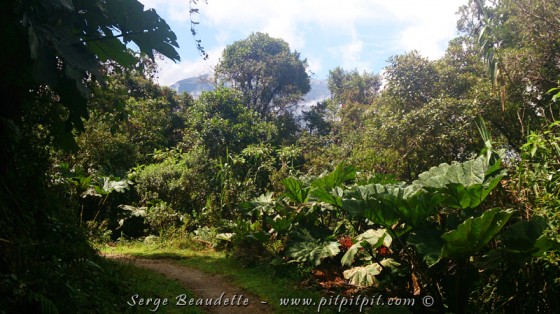 Après un départ pas trop matinal, et une bonne montée jusqu’à 3000 mètres sur le flanc ouest de la cordillère la plus à l’ouest, nous arrivons à notre tout premier site… un site d’une beauté impressionnante et d’une grande richesse!