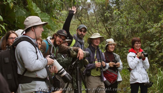 Le rythme de marche est lent, adapté à l’altitude qui impose sa loi! …Et les arrêts sont fréquents… mais ça, c’est à cause des oiseaux!!! Du nouveau, du nouveau, du nouveau!!! Le « clic-clic » se fait aller… et les tendinites de coudes, à lever les jumelles, sont à prévoir!!! ;-)