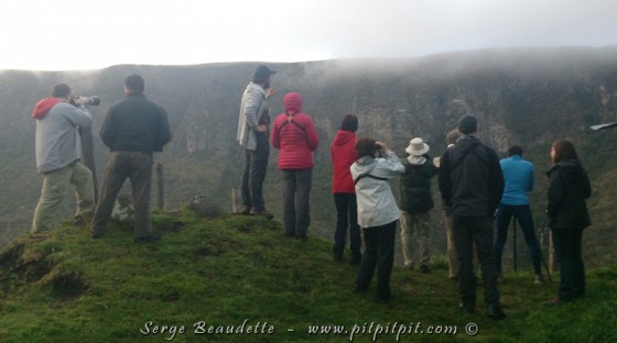 …Juste avant d’arriver, nous faisons un arrêt pour une espèce cible très attendue de tous et toutes : le Condor des Andes!!! Il n’y en a en Équateur qu’une toute petite population très localisée… et il semblerait en plus qu’ils ne soient pas vus souvent depuis un moment… En fin d’après-midi, il n’y a plus de thermiques (courants ascendants d’air chaud créé par le soleil qui réchauffe le sol). Ce grand planeur de plus de 3 m d’envergure ne se plait absolument pas à battre des ailes. Notre seule chance de l’observer ce soir, est de le trouver sur la paroi de la falaise de la condorera où il passera la nuit…