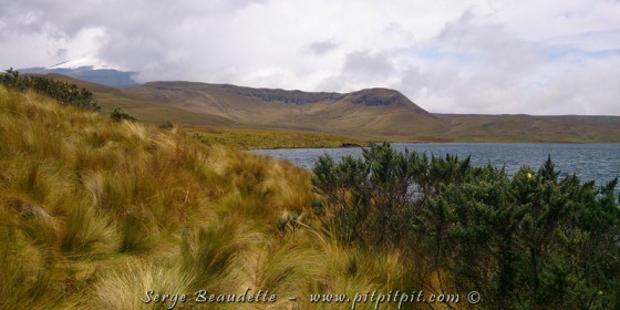 Tout au bout du chemin, nous arrivons à une lagune! Les plans d'eau sont rares ici… C'est ce qui fait que des espèces particulièrement intéressantes s'y concentrent!!!