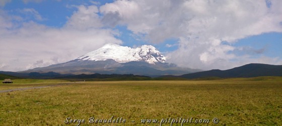 …Nous montons sur les hauts plateaux de l'Antisana (+ de 4000 m), un volcan actif qui culmine à 5753 mètres, avec des neiges éternelles!!! …À ses pieds, de vastes plaines qui regorgent d'une faune et d'une flore extrêmement caractéristiques, adaptées à l'altitude, et très abondantes!!!