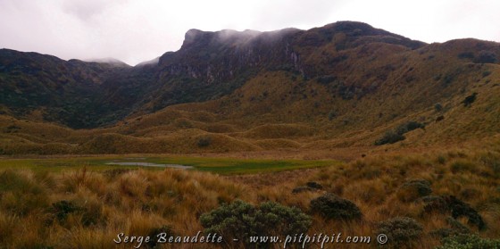 …Quelques photos des paysages, pour que vous puissiez en profiter vous aussi!