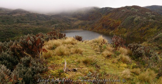 2014-11-19_09-37-03_ DSC_0288